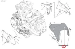 Ducati Front Mudguard Assembly White
