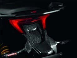 Ducati Kentekenplaathouder Carbon Multistrada 1260