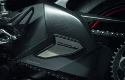 Ducati Swingarm Cover Carbon/Titanium Panigale V4/S