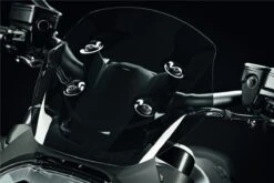 Ducati Windscherm Smoke Diavel 1260