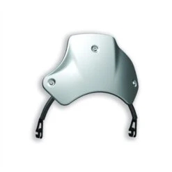 Ducati Flyscreen Sport Scrambler 1100 (Special/Sport)